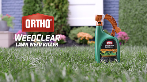 thumbnail video image 2 of Ortho WeedClear Lawn Weed Killer Ready-To-Spray, Kills Crabgrass and Dandelion, 32 oz., 2 of 15