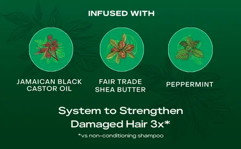 System to strengthen damaged hair 3x