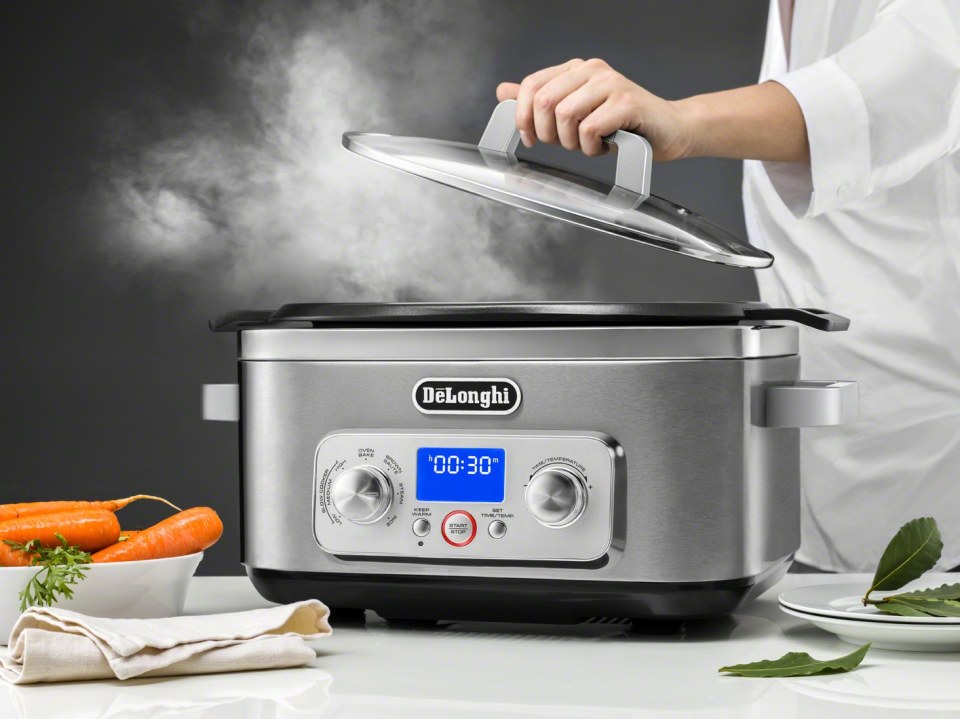 LIVENZA ALL-IN-ONE PROGRAMMABLE MULTI-COOKER WINNER! 