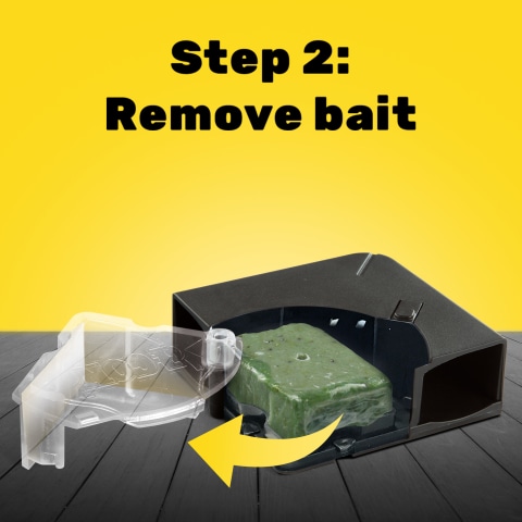 d-CON Refillable Corner Fit Mouse Poison Bait Station, 1 Trap + 2 Bait  Refills 