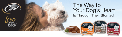 Way to your Dog’s Heart is through their Stomach, Love Them Back, Dog Food Wet, Chewy