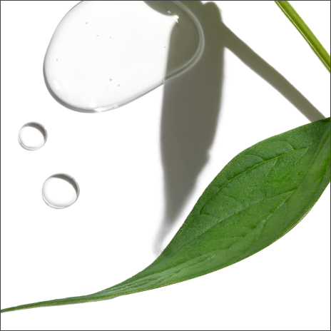 Peppermint, Spearmint, and Tea Tree Oil Complex