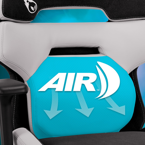 AIR™ Lumbar Technology from True Wellness&#174;