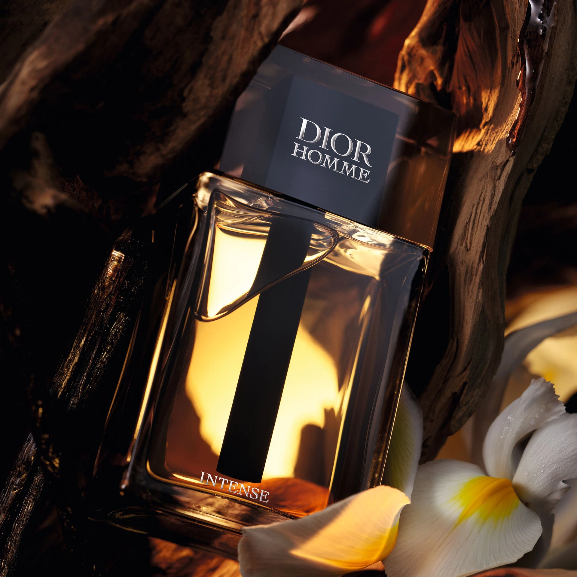 Dior Homme Intense