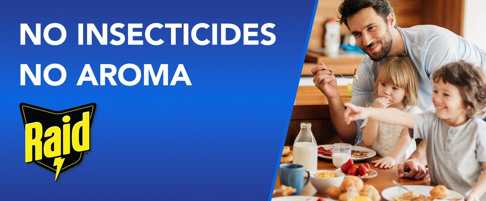 no insecticides or aroma