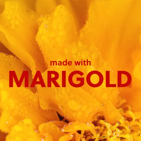 MARIGOLD