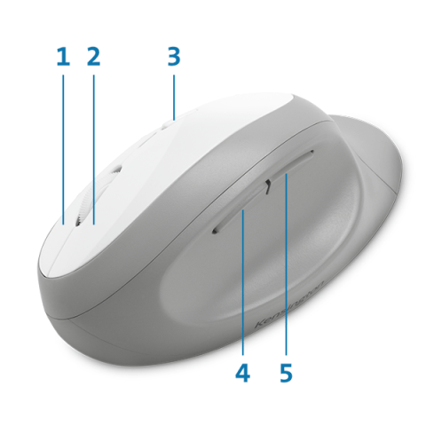 Five Mouse Buttons (including forward and back)
