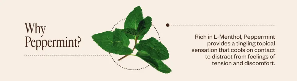 Why Peppermint?   Rich in L-Menthol, Peppermint provides a tingling topical sensation that cools on contact to distract from feelings of tension and discomfort.