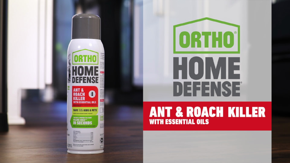 Ortho Home Defense Liquid Ant and Roach Killer 14 oz