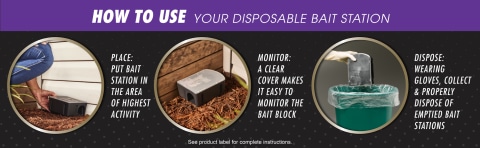 How To Use Tomcat Disposable Rat And Mouse Bait Stations 