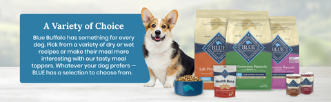 Blue Buffalo Life Protection Formula Dog Food