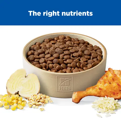 Hill's Science Diet Adult 7+ Turkey & Barley Entree Canned Dog