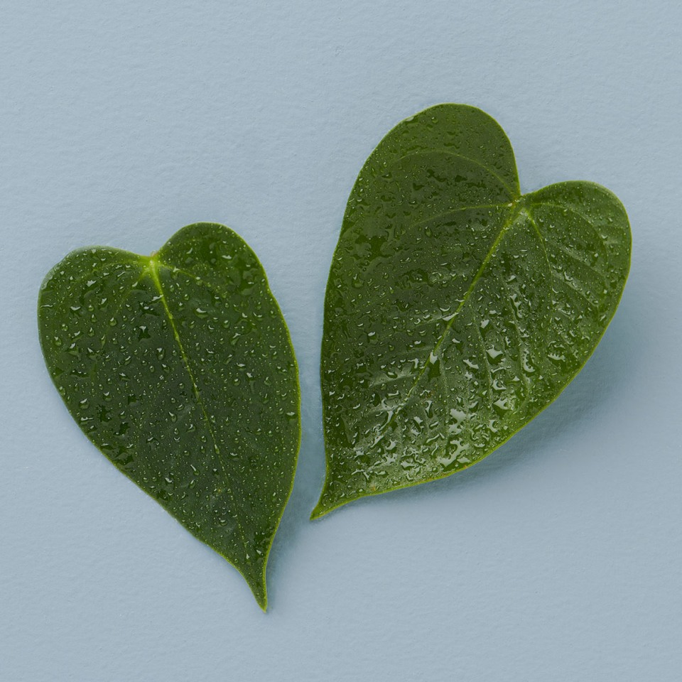 22 ozLilac Blossoms QVC OUTLET