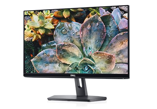 Dell SE2219H 21.5