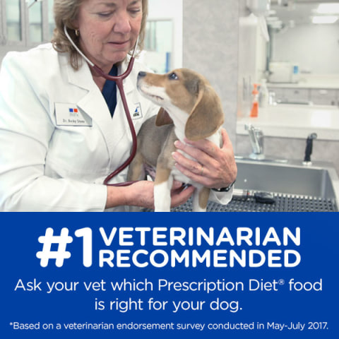 Hill S Prescription Diet C D Multicare Urinary Care Dog Food Chicken Vegetable Stew Dog Veterinary Diets Petsmart