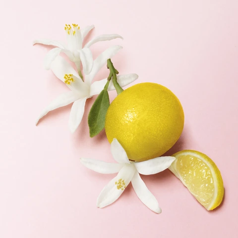 TOP NOTES: BERGAMOT OIL &amp; ORANGE FLOWER IN BITTER ORANGE OIL