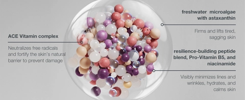 Skincare ingredients microalgae peptides niacinamide spheres illustration for firming skin