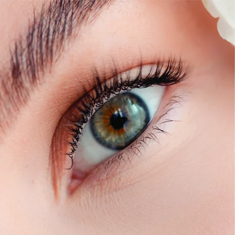 Blends seamlessly with your own lashes