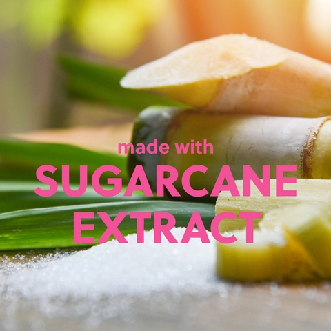 SUGARCANE EXTRACT