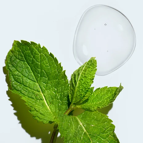 Peppermint, Spearmint, and Tea Tree Oil Complex