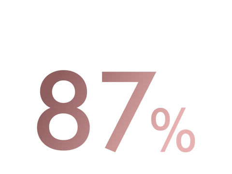 Text reading 87%.