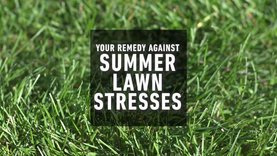 thumbnail video image 2 of Scotts Turf Builder SummerGuard Lawn Food with Insect Killer, 5,000 sq. ft., 13.35 lb, 2 of 8