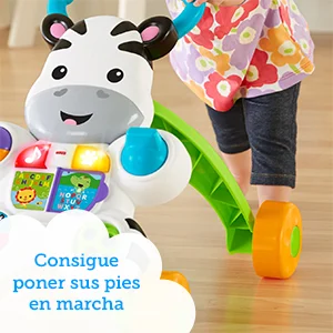 Cebra parlanchina primeros pasos DLD87 MATTEL