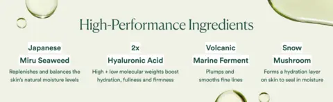 High-Performance Ingredients