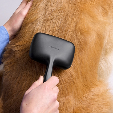 Brushing
