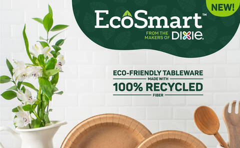 What are Eco friendly paper plates and why use them? - Ecotsy