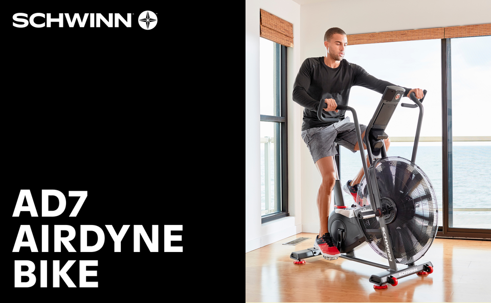 Schwinn AD7 Airdyne Bike