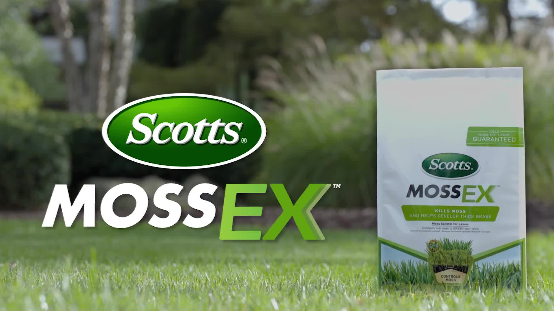 Scotts Disease Ex Lowes Captions Ideas