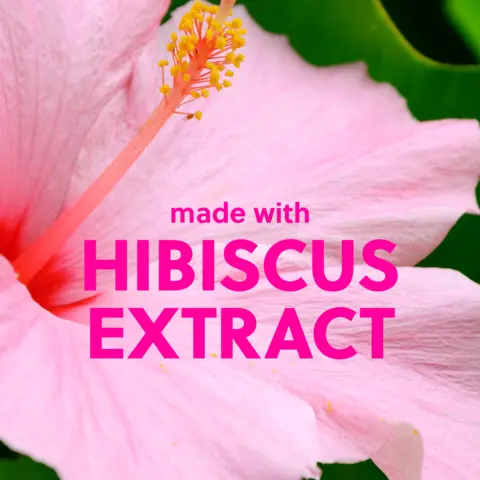 HIBISCUS EXTRACT