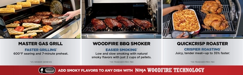 Ninja FlexFlame Propane Grill & Outdoor Cooking System | SCHEELS.com