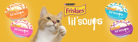 friskies lil soups canada