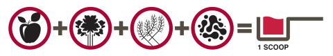 Juce Garden Berry graphic showing symbols for fruits, veggies, probiotics, all-in-1 scoop