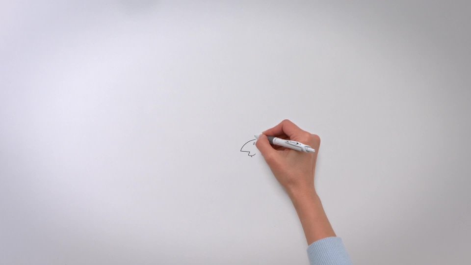 thumbnail video image 2 of Pilot Acroball PureWhite Advanced Ink Pen, Fine Point, Assorted Accents, Black Ink, 5 Count (31861), 2 of 9