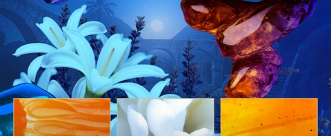 Origen Yucatan Midnight EDP