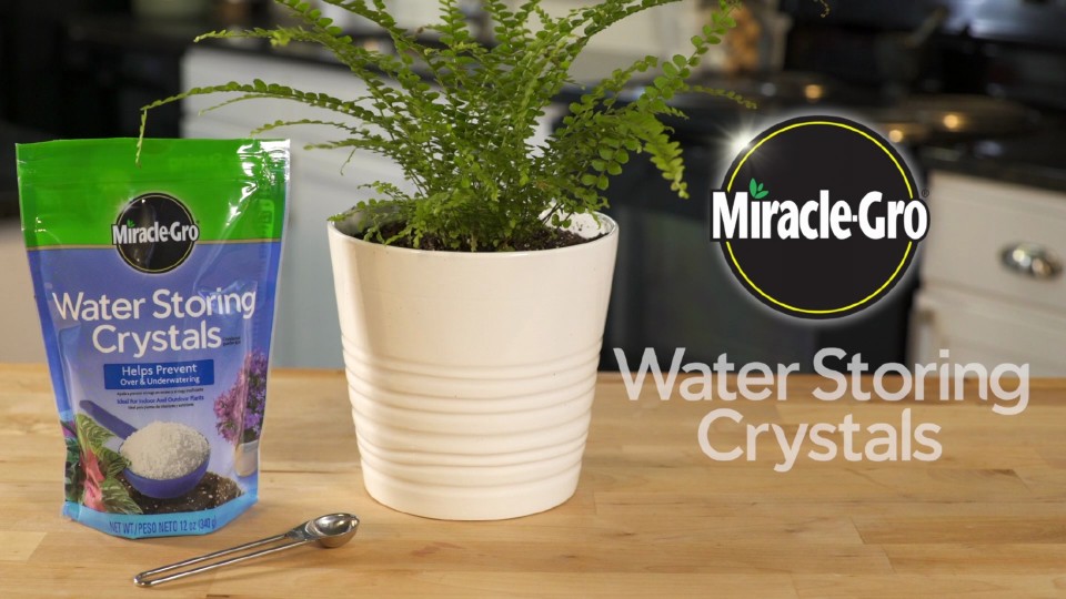 Miracle Gro Water Storing Crystals 12 Oz