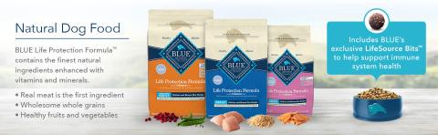 BLUE Life Protection Formula for adult dogs - Blue Buffalo Dry Dog Food
