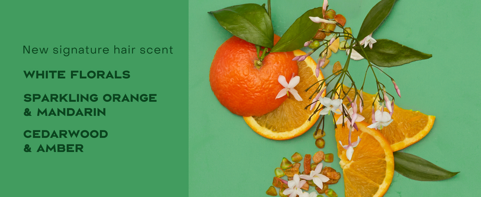 White florals, orange, and cedar arranged on a green background for a scent callout.
