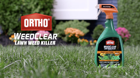Ortho WeedClear Weed Killer RTU Liquid 24 oz