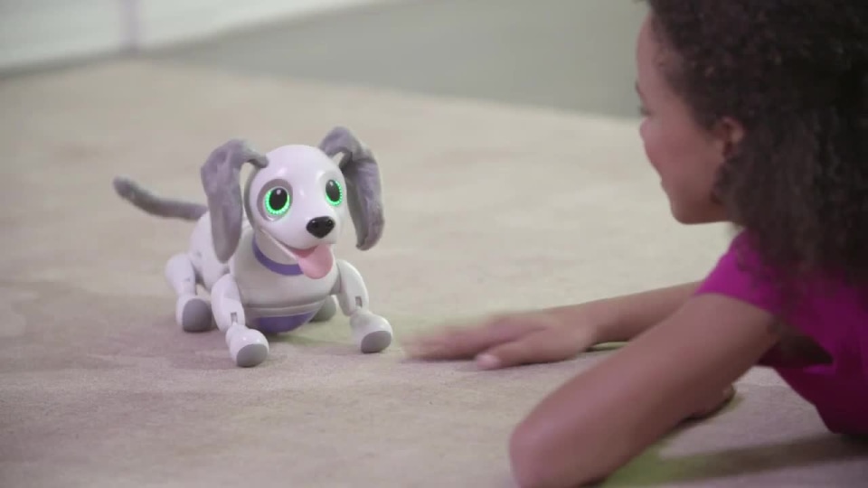Zoomer Playful Pup Children's Responsive Robotic Dog Interactive 
