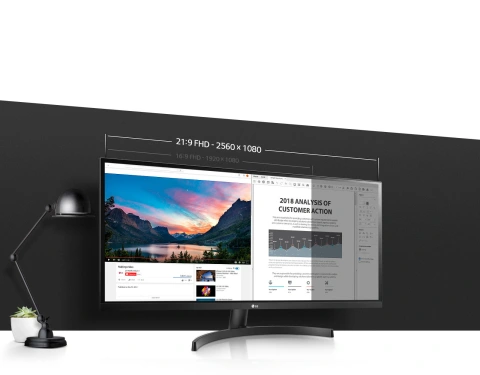 LG 29WL500-B - LED monitor - 29
