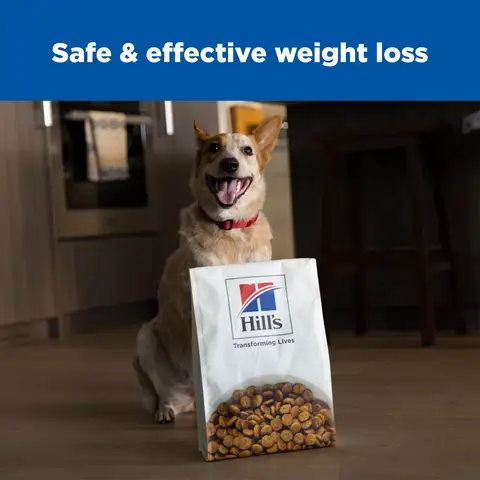 Hill's Science Diet Perfect Weight Joint Support Adult Dry Dog