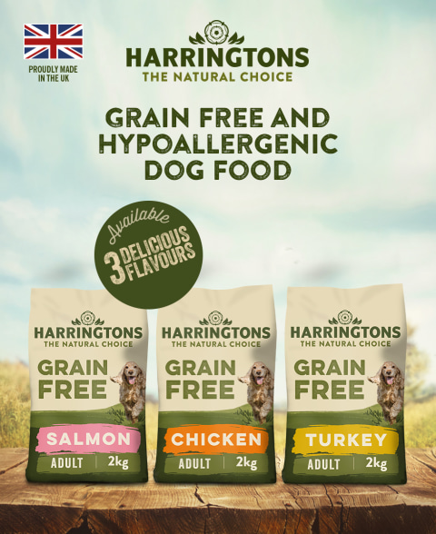 harringtons grain free asda
