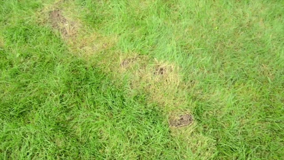 thumbnail video image 2 of Tomcat Mole Trap, Innovative and Effective Mole Remover Trap Kills Without Drawing Blood, 1 Trap, 2 of 8