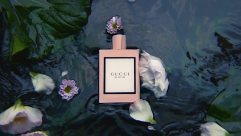 Gucci Bloom Ambrosia di Fiori Eau de Parfum Intense, 1.6-oz. - Macy's