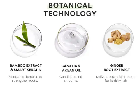 Camelia + argan oil condition and smooth. Bamboo extract + smart keratin penetrate the scalp