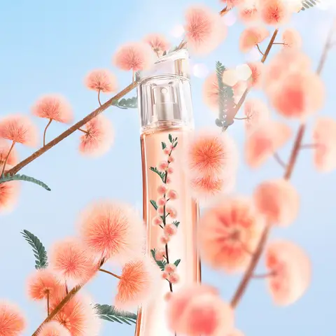 カシー化粧品figtree カシー化粧品figtree カシー化粧品figtree カシー化粧品figtree